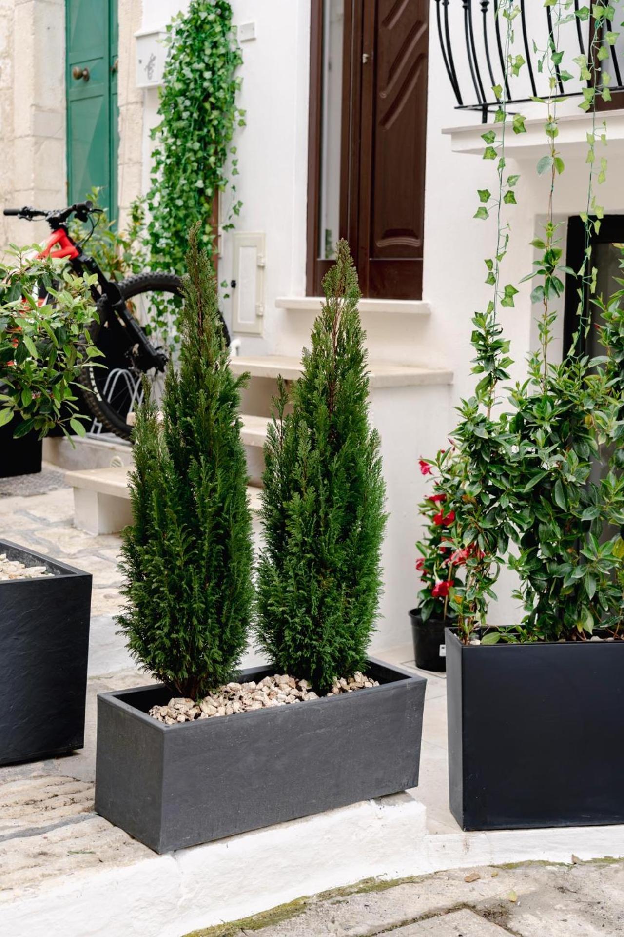 La Maison - Private Wellness Ostuni Exterior photo